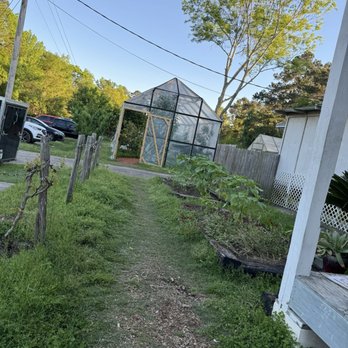 Backwoods Crossing - Outside green house - Southern Near Me - Tallahassee, Florida