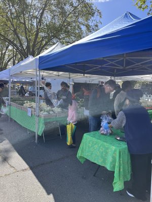 Niles Farmer's Market by null
