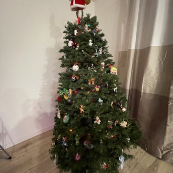 Mikey's Christmas Trees - Christmas Trees Near Me - Sacramento, California Mikey's Christmas Trees - Christmas Trees Near Me - Sacramento, California