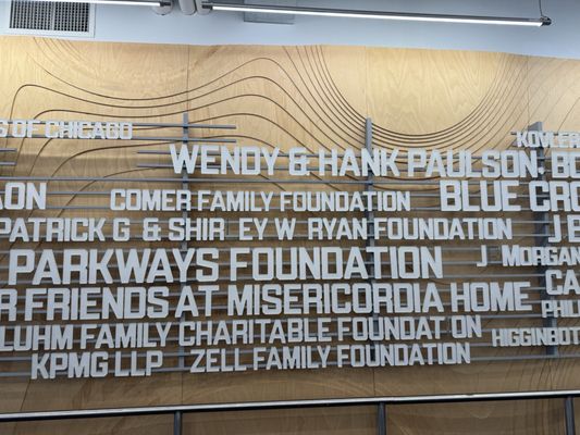 Maggie Daley Park Ice Skating Ribbon by null