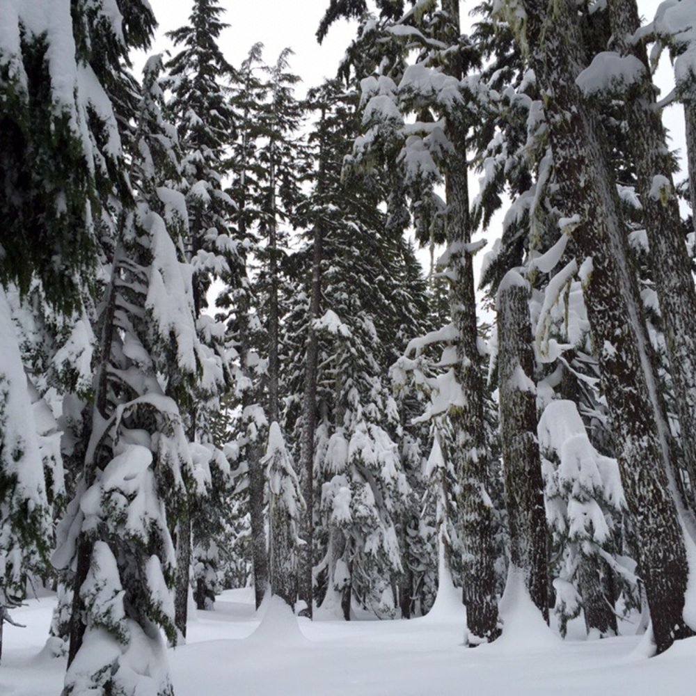 Wanderlust Tours - Tours Near Me - Bend, Oregon Wanderlust Tours - Tours Near Me - Bend, Oregon