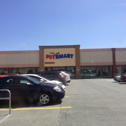 PetSmart Grooming