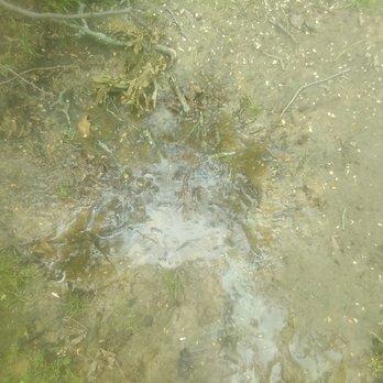 Joey Ridgle Septic & Sanitation - puddle of overflow at septic tank lid - Septic Services Near Me - Murchison, Texas Joey Ridgle Septic & Sanitation - puddle of overflow at septic tank lid - Septic Services Near Me - Murchison, Texas