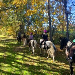 Whispering Springs Horse Farm
