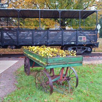 Arcade & Attica Railroad - Kids Activities Near Me - Arcade, New York