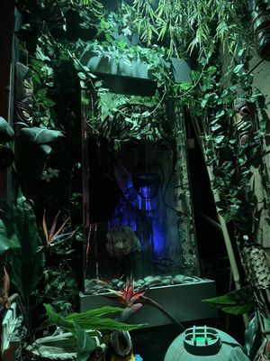 Boo Loo Lounge by null