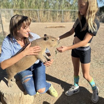 GHOST RANCH EXOTICS AND FUNNY FOOT FARM - Updated March 2026 - 56 ...