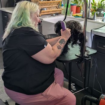 Smiley’s House Call Grooming - Came with her own cute and professional setup - Pet Groomers Near Me