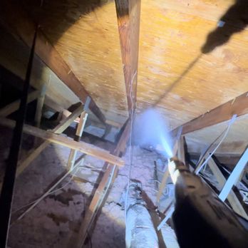Feel Good Solutions - Performing our non invasive tentless alternative liquid termite treatment. Our tentless treatment is very cost effective, saving you money! - Pest Control Near Me - Oakland Park, Florida Feel Good Solutions - Performing our non invasive tentless alternative liquid termite treatment. Our tentless treatment is very cost effective, saving you money! - Pest Control Near Me - Oakland Park, Florida