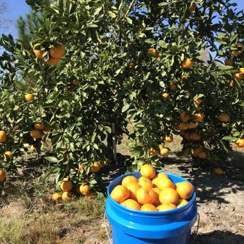 REGISTERS OLD PLACE FARM - Updated February 2026 - 901 Register Rd