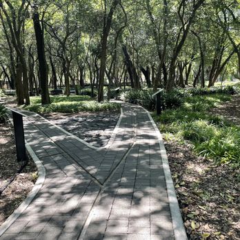 Bosque de Chapultepec - A walkway in the botanical garden - Parks Near Me - Ciudad de México, DIF Bosque de Chapultepec - A walkway in the botanical garden - Parks Near Me - Ciudad de México, DIF