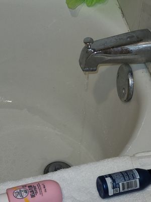 Westgate Sportsbook by null