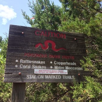 Cedar Ridge Preserve - Hiking Near Me - Dallas, Texas
