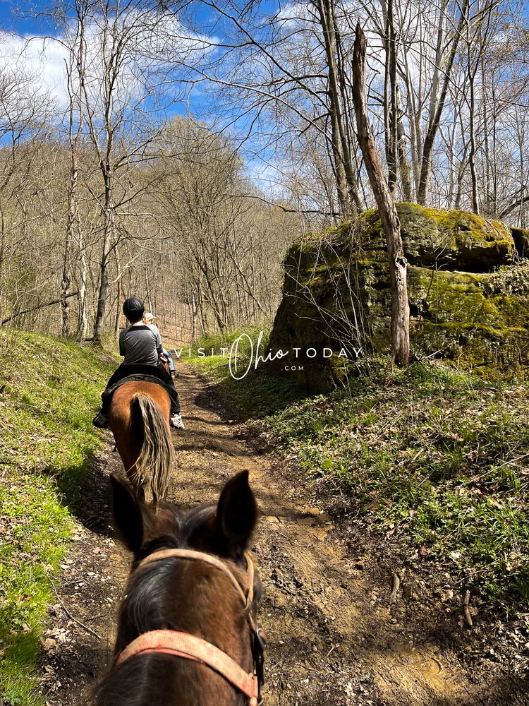 Hocking Hills Horse Rides - equestrian in South Bloomingville, OH