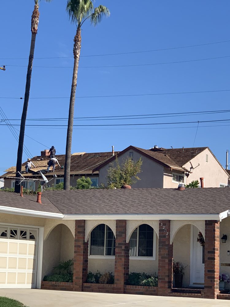 Slide of Eco Systems