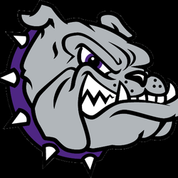 Brownsburg HIgh School - BHS Logo