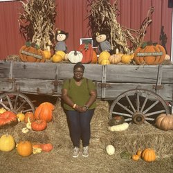 The Great Pumpkin Patch - Cute Fall backdrop