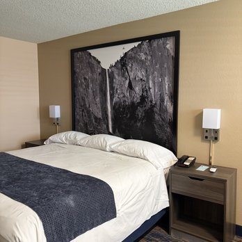 Super 8 by Wyndham Lindsay Olive Tree - Queen bed - Hotels Near Me - Lindsay, California Super 8 by Wyndham Lindsay Olive Tree - Queen bed - Hotels Near Me - Lindsay, California