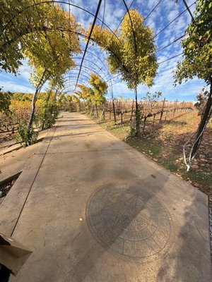 Starfield Vineyards & Winery by null
