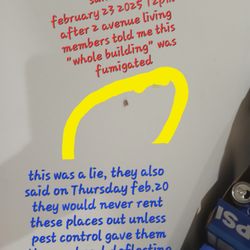 South Ridge Townhomes - Cockroaches after a supposed fumigation of the whole building..