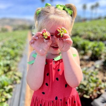 Kenny's Strawberry Farm - Fruits & Veggies Near Me - Fallbrook, California