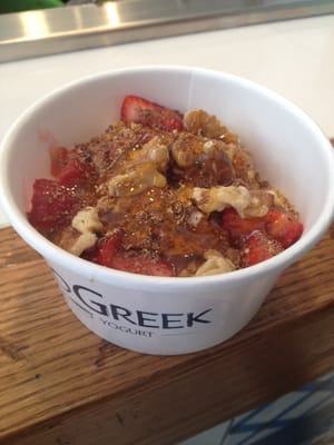 Go Greek Yogurt by null