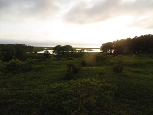 Mass Audubon Wellfleet Bay Wildlife Sanctuary by null