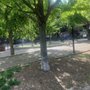 Photo of West Loop Dog Park