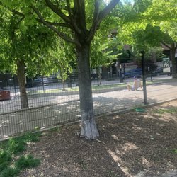 West Loop Dog Park - Park