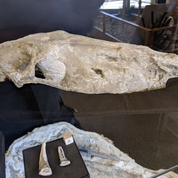 Hagerman Fossil Beds National Monument - Museums Near Me - Hagerman, Idaho