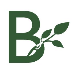 Brownstone Center for Wellness