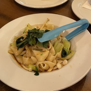 Trendy Dumpling - Biang Biang Noodle - Noodles Near Me - Houston, Texas Trendy Dumpling - Biang Biang Noodle - Noodles Near Me - Houston, Texas