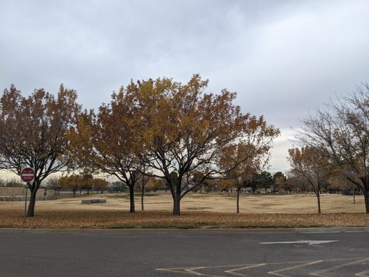 Chamizal National Memorial by null