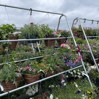 Kent East Hill Nursery - Nurseries & Gardening Near Me - Kent, Washington