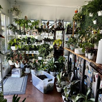 Larch Garden - Nurseries & Gardening Near Me - South San Francisco, California