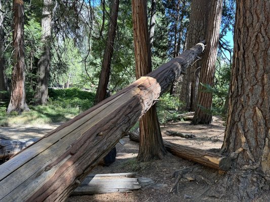 Lower Yosemite Falls Trailhead by null