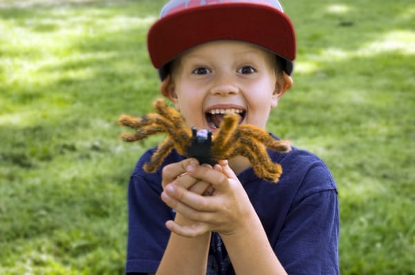 Penticton Museum & Archives by null