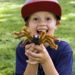 Penticton Museum & Archives - The Penticton Museum has lots of kids programs, too.