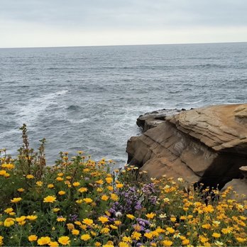 Sunset Cliffs Natural Park - Parks Near Me Sunset Cliffs Natural Park - Parks Near Me
