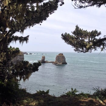 Point Arena-Stornetta Public Lands - Cool moss tree area - Hiking Near Me - Point Arena, California