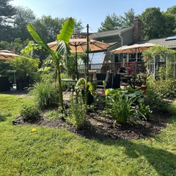 CT Palm Trees & Tropicals