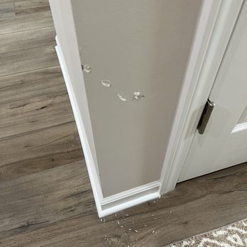 Pink Zebra - Farmington - Damaged drywall - Movers Near Me - Farmington, Michigan
