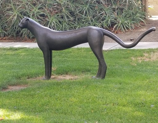 Bakersfield Museum of Art by null