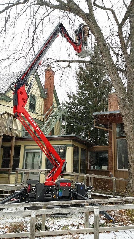 Greenstreet Tree Care - tree service in Dexter, MI