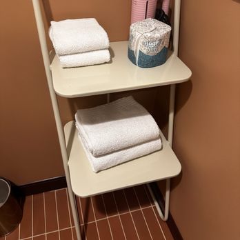 Downright Austin, A Renaissance Hotel - The towel rack!! - Hotels Near Me - Austin, Texas