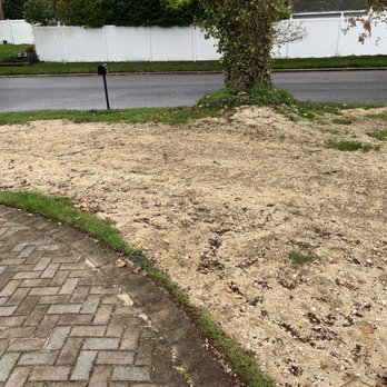 White Wolf Cesspool - Front Yard - Septic Services Near Me