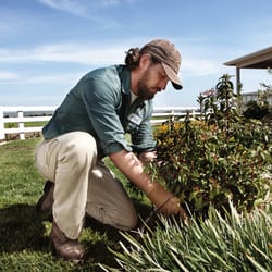 Durable pants and shirts for hospitality, school, and building outdoor maintenance.