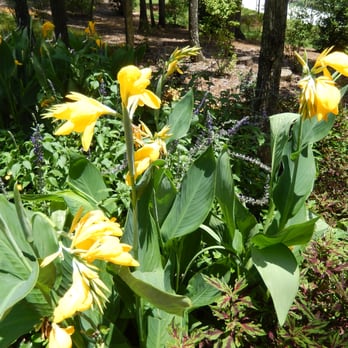 Atlanta Botanical Garden - Botanical Gardens Near Me - Gainesville, Georgia