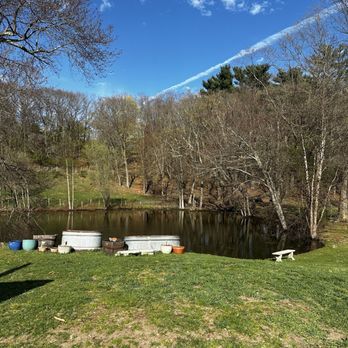 Allandale Farm - The pond. - Nurseries & Gardening Near Me - Brookline, Massachusetts