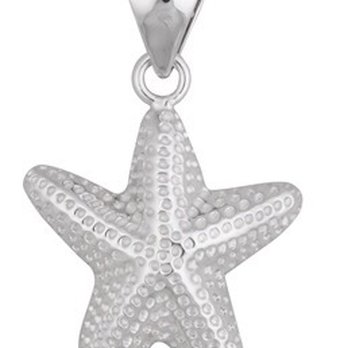 Gulfstream Gifts - Sterling silver starfish pendant by artist Charles Albert - Jewelry Near Me - Nags Head, North Carolina